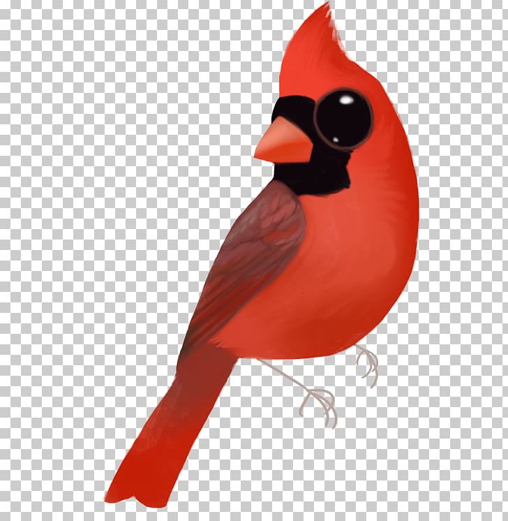 Beak PNG, Clipart, Beak, Bird, Cardinal, Cardinalis, Others Free PNG Download