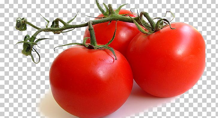 Campari Tomato Vegetable Meat Food Cherry Tomato PNG, Clipart, Artichoke, Bush Tomato, Campari Tomato, Chef, Cherry Tomato Free PNG Download