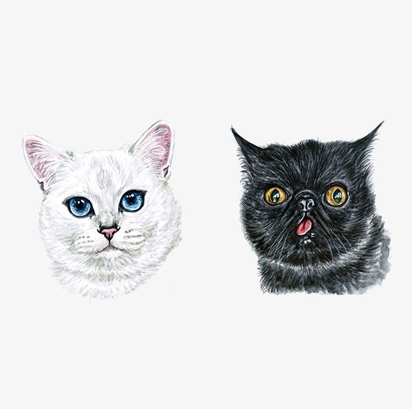 Hand Painted Watercolor Cute Cat Head Portrait PNG, Clipart, Avatar, Cat, Cat Clipart, Cat Clipart, Cute Clipart Free PNG Download