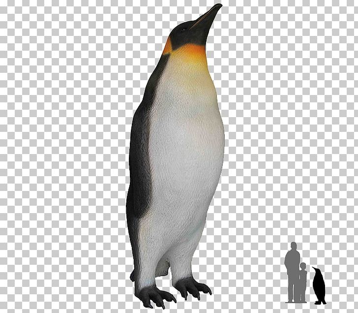 King Penguin Bird Antarctica PNG, Clipart, Animal, Animals, Antarctic, Antarctica, Beak Free PNG Download