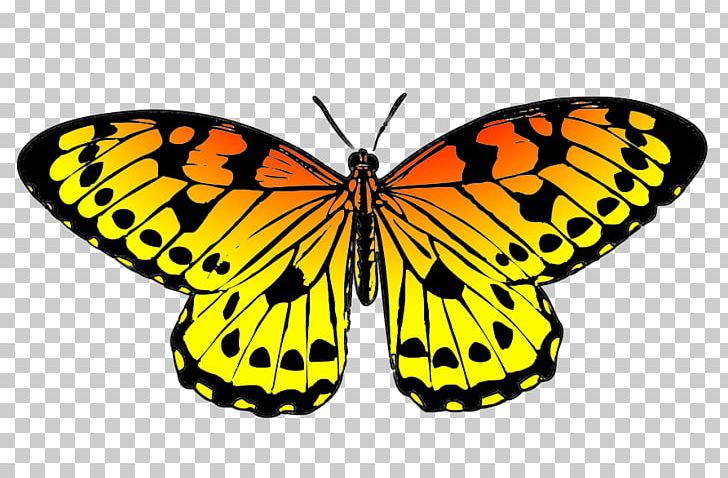 Monarch Butterfly Drawing Black PNG, Clipart, Arthropod, Black, Brush Footed Butterfly, Butterfly, Color Free PNG Download