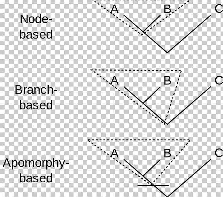 Clade Synapomorphy And Apomorphy Phylogenetic Nomenclature Cladistics Holophyly PNG, Clipart, Angle, Circle, Clade, Cladistics, Common Descent Free PNG Download