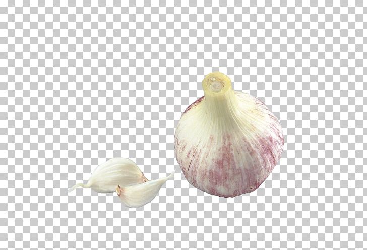 Garlic Food Cartoon PNG, Clipart, 3d Computer Graphics, Cartoon, Cartoon Garlic, Chili Garlic, Designer Free PNG Download