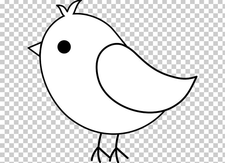 Bird Drawing Line Art Pencil Sketch PNG, Clipart, Beak, Bird, Bird Flight, Black And White, Coloring Book Free PNG Download