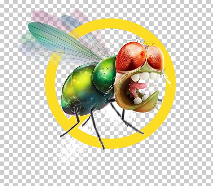 Mosquito Hotel Fly Restaurant Pinturas IKELOFF PNG, Clipart, Arthropod, Child, Fly, Food, Fruit Free PNG Download