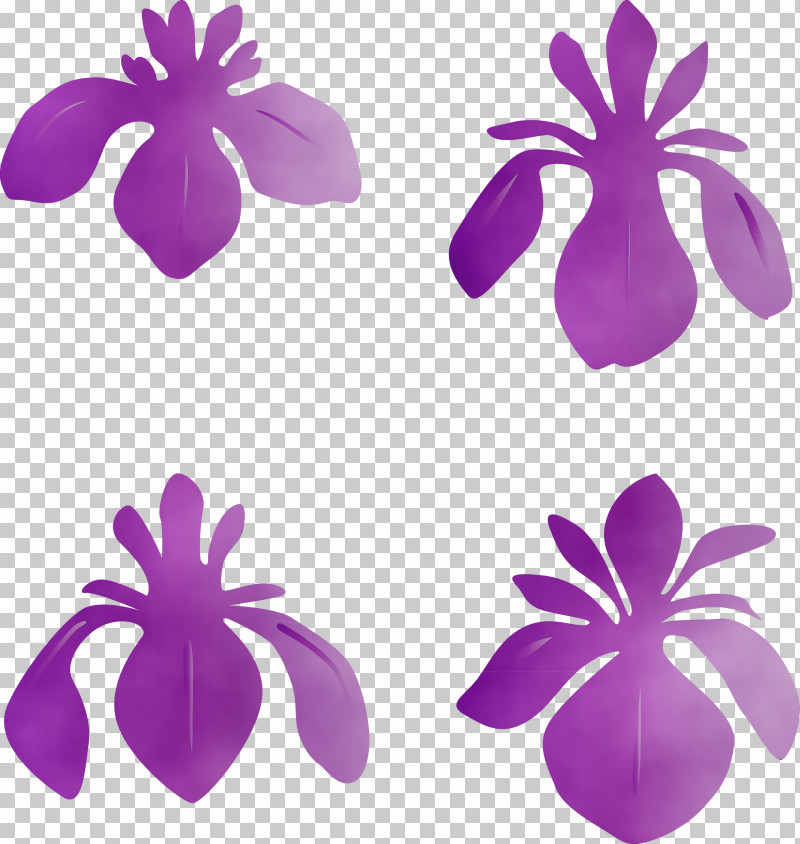 Purple Petal Violet Plant Flower PNG, Clipart, Cattleya, Flower, Iris Flower, Magenta, Paint Free PNG Download
