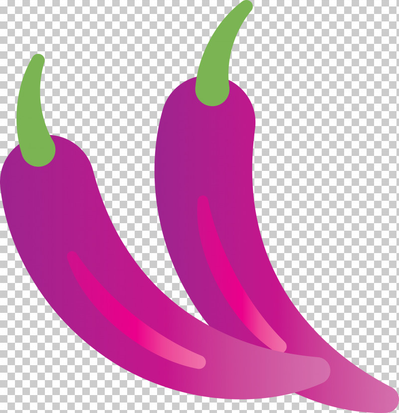 Chili Pepper Pink M Bell Pepper Meter Fruit PNG, Clipart, Bell Pepper, Chili Pepper, Fruit, Meter, Pink M Free PNG Download