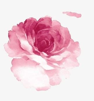 Hand-painted Watercolor Peony PNG, Clipart, Flowers, Hand, Hand Painted, Hand Painted Clipart, Painted Free PNG Download