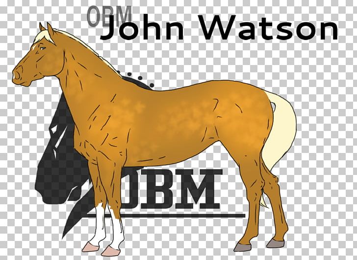 Mustang Stallion Foal Colt Mare PNG, Clipart, Bridle, Colt, Foal, Halter, Horse Free PNG Download