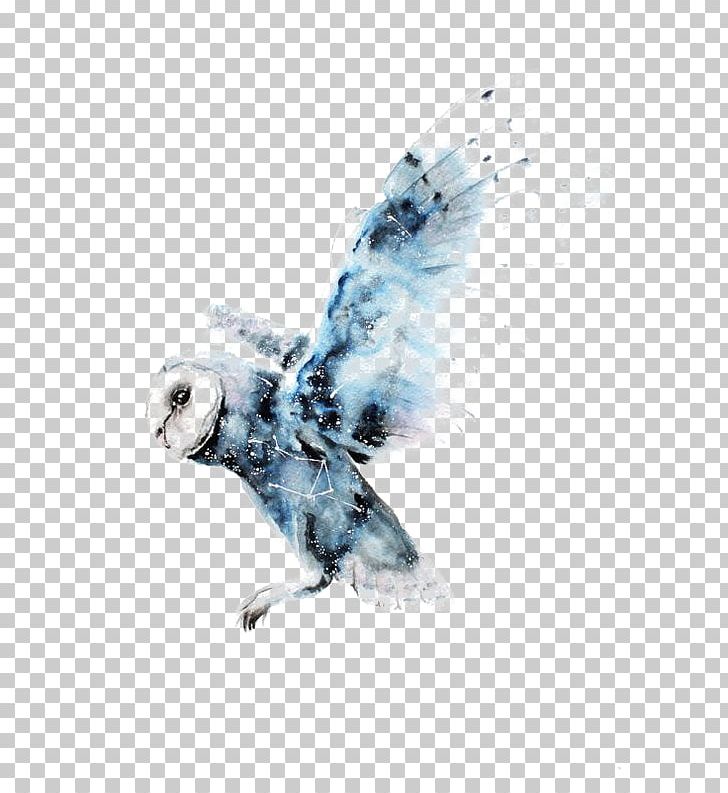 Owl Watercolor Painting Harry Potter Art Drawing PNG, Clipart, Animal, Animals, Barn Owl, Beak, Bird Free PNG Download