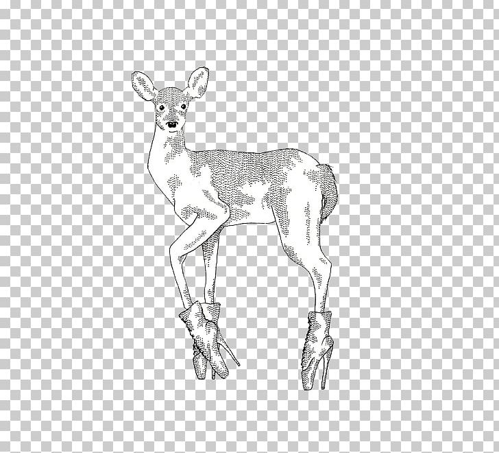 Reindeer Antelope Pack Animal Line Art Sketch PNG, Clipart, Animal, Antelope, Antler, Artwork, Black And White Free PNG Download