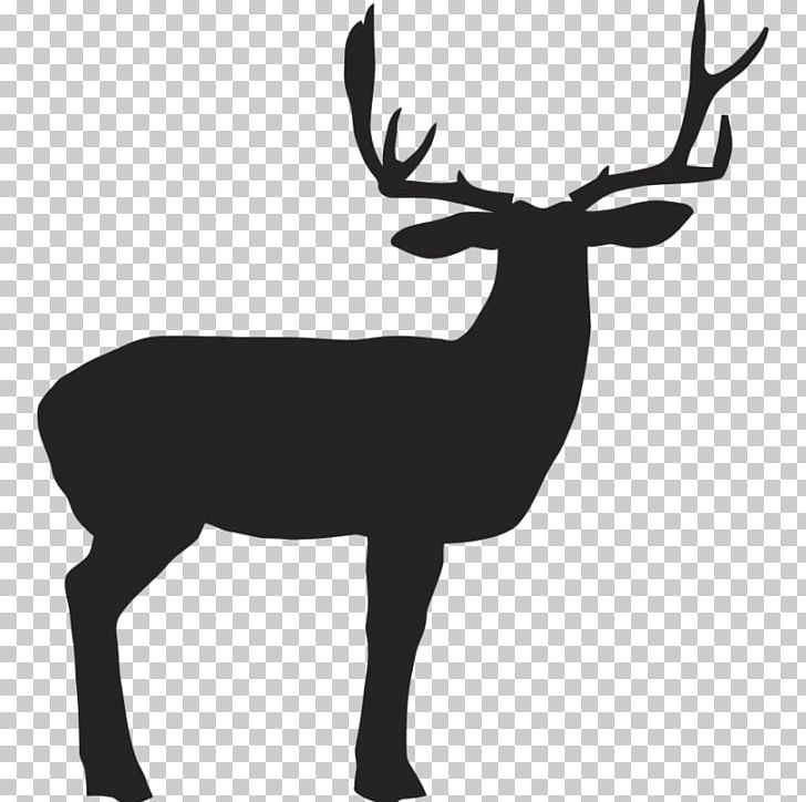 Reindeer White-tailed Deer Elk Antler PNG, Clipart, Animals, Antler, Archery, Black And White, Bow And Arrow Free PNG Download