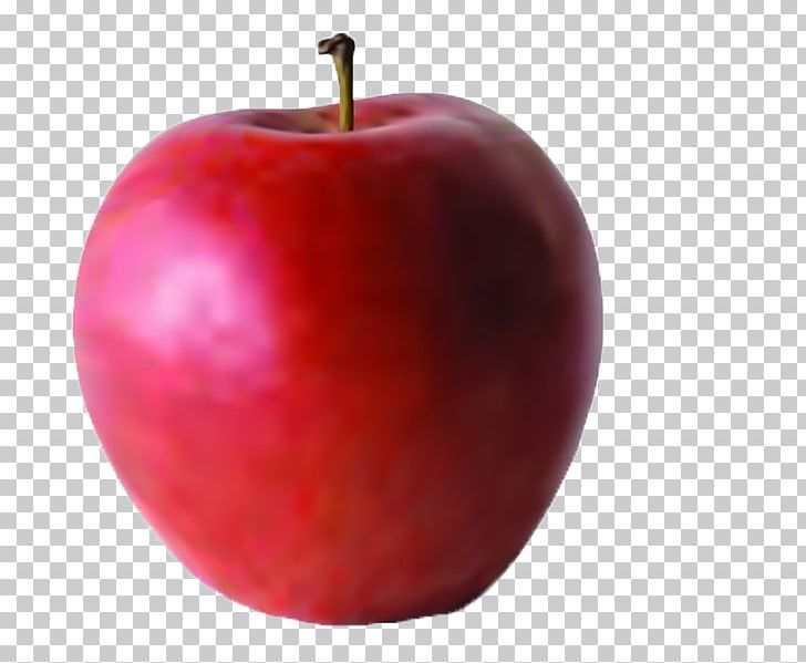Apple McIntosh Laboratory PNG, Clipart, Apple, Apple Fruit, Apple Logo, Apples, Apple Tree Free PNG Download
