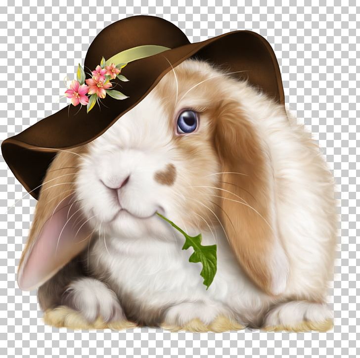 Domestic Rabbit Hare Easter Bunny Angora Rabbit PNG, Clipart, Angora Rabbit, Angora Wool, Animals, Domestic Rabbit, Easter Free PNG Download
