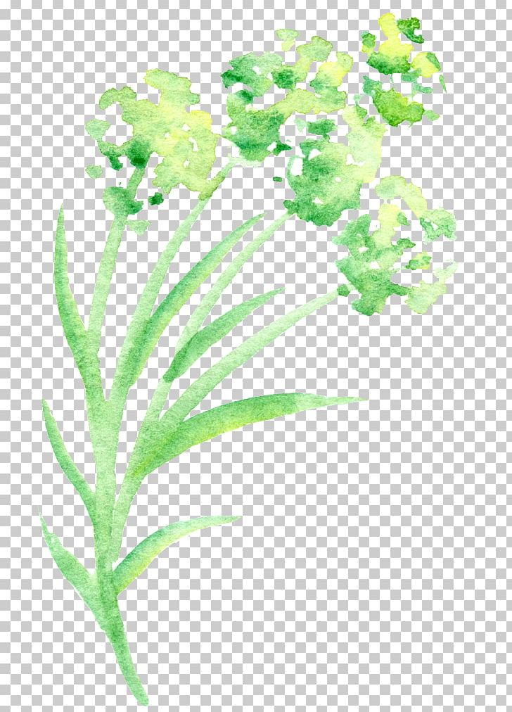 Green Petal Watercolor Painting Flower PNG, Clipart, Aquarium Decor, Art, Color, Designer, Download Free PNG Download