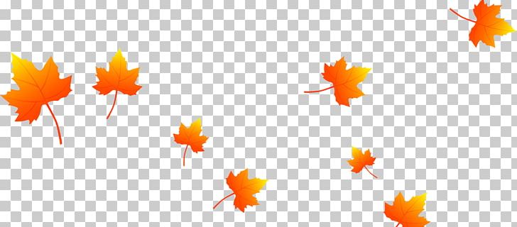 Leaf PNG, Clipart, Adobe Illustrator, Autumn Leaves, Beautiful Maple Leaves Falling, Computer Wallpaper, Encapsulated Postscript Free PNG Download