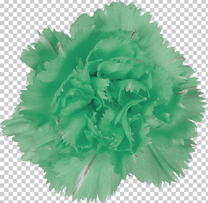 Green Cut Flowers Petal PNG, Clipart, Carnation, Chartreuse, Cut Flowers, Data, Floral Design Free PNG Download