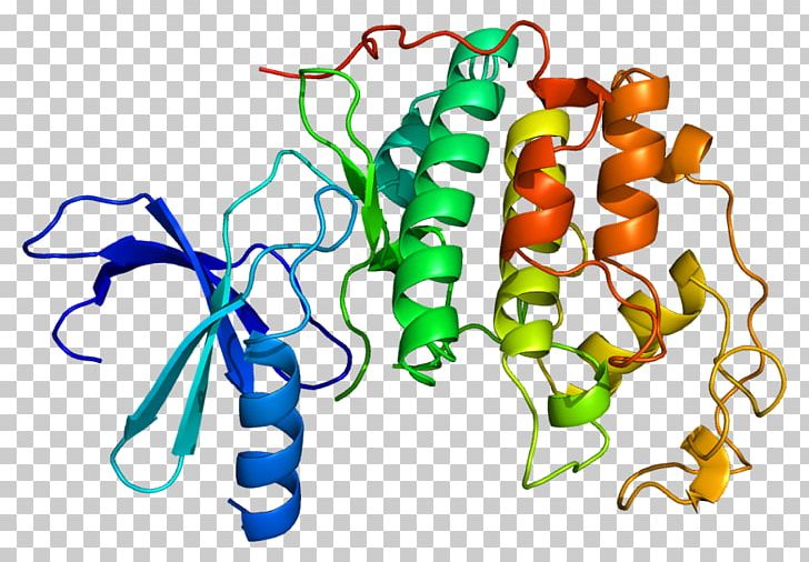 Cyclin-dependent Kinase 2 Protein Kinase PNG, Clipart, Animal Figure, Area, Artwork, Casein Kinase 2, Cell Cycle Free PNG Download