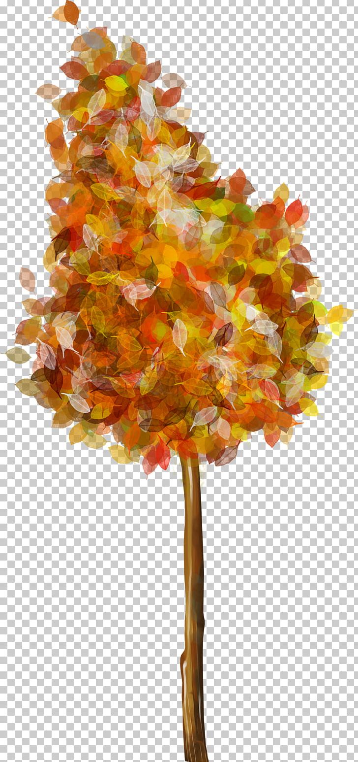 Frames PNG, Clipart, Autumn, Firtree, Leaf, Maple Tree, Miscellaneous Free PNG Download