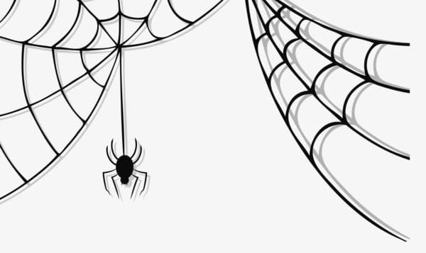 Spider Web Spider PNG, Clipart, Abstract, Animal, Art, Backgrounds, Black Color Free PNG Download