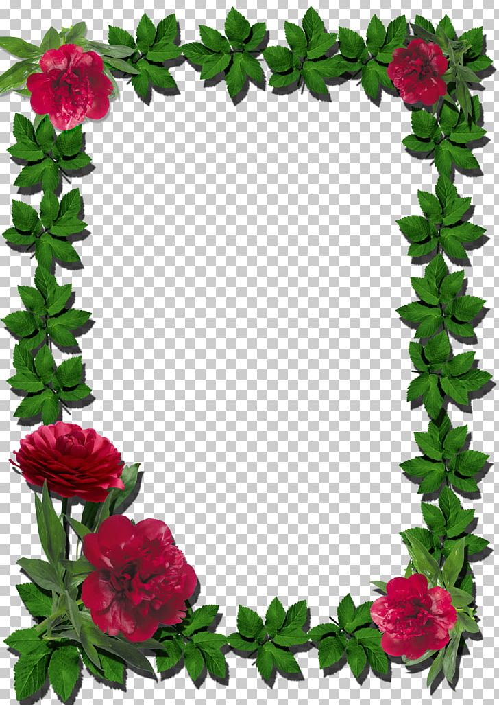 Frames Flower PNG, Clipart, Color, Cut Flowers, Download, Floral Design, Floral Frame Free PNG Download