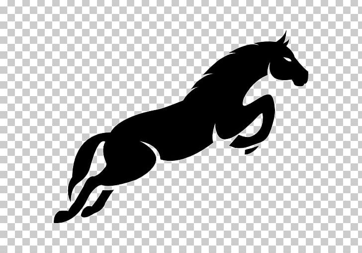 Stallion Mane Mustang Pony Show Jumping PNG, Clipart, Black, Carnivoran, Cat Like Mammal, Dog Like Mammal, English Free PNG Download