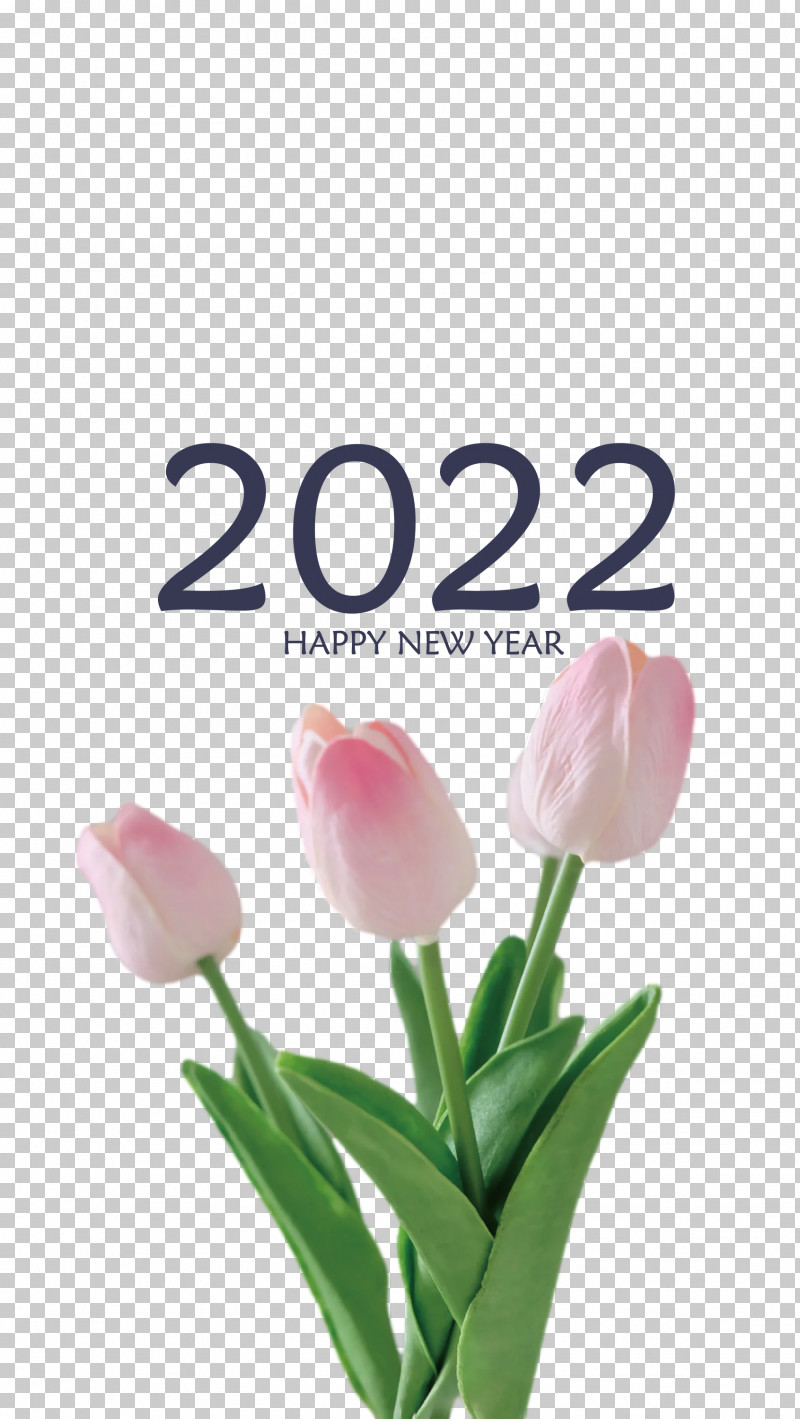 2022 Happy New Year 2022 New Year 2022 PNG, Clipart, Biology, Cut Flowers, Flower, Meter, Petal Free PNG Download