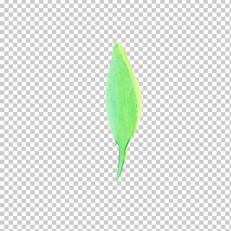 Feather PNG, Clipart, Feather, Flower, Green, Leaf, Paint Free PNG Download