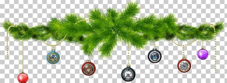 Christmas Tree Pine PNG, Clipart, Assistance, Branch, Christmas, Christmas Ornament, Christmas Tree Free PNG Download