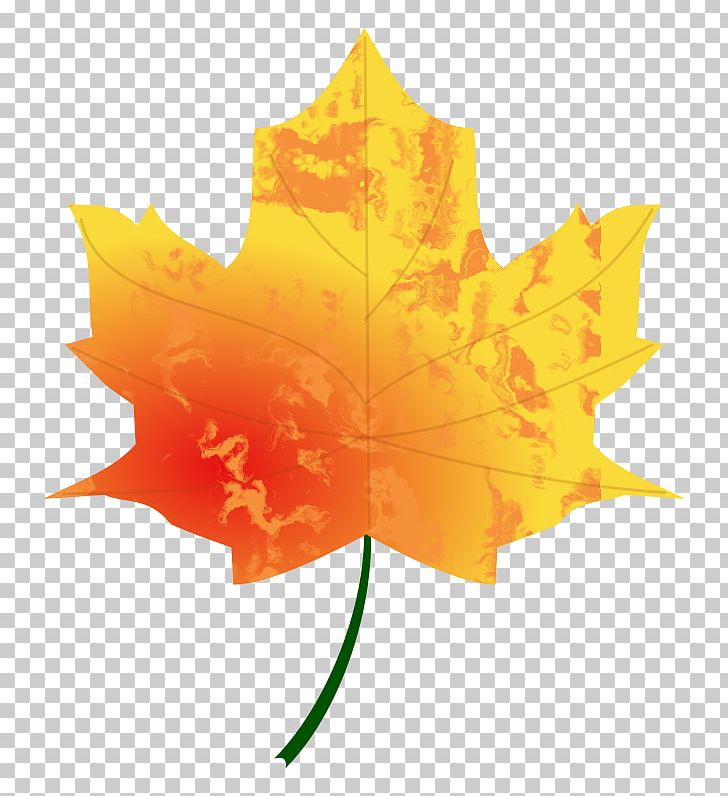 Autumn Leaf Color Tree PNG, Clipart, Autumn, Autumn Leaf Color, Color, Flowering Plant, Green Free PNG Download