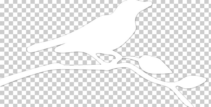 Beak Line Art Drawing PNG, Clipart, Angle, Art, Artwork, Beak, Bird Free PNG Download