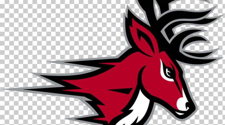Fairfield University Webster Bank Arena Fairfield Stags Men's Basketball Fairfield Stags Men's Lacrosse Fairfield Stags Baseball PNG, Clipart,  Free PNG Download