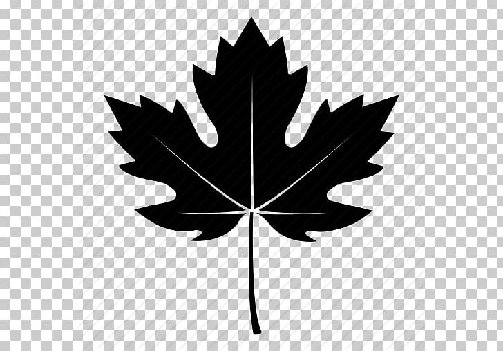 Sycamore Maple Leaf Tree Computer Icons Autumn PNG, Clipart, Autumn, Autumn Leaf Color, Black And White, Black Fall, Computer Icons Free PNG Download