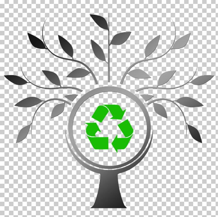 Tree Organization Waste Management PNG, Clipart, Aesthetics, Branch, Energy, Flower, Future Free PNG Download
