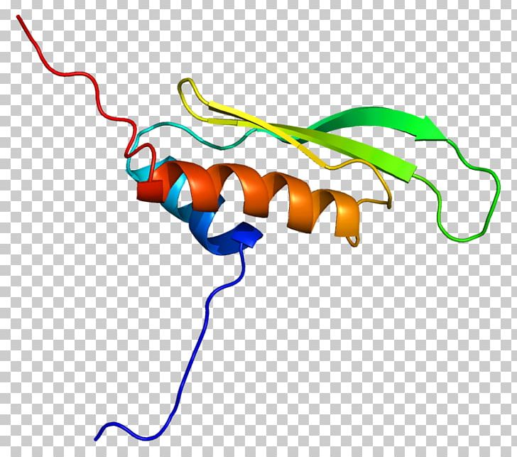 Double-stranded RNA Viruses PRKRA Protein Kinase PNG, Clipart, Activator, Area, Arn Double Brin, Artwork, Calmodulin Free PNG Download