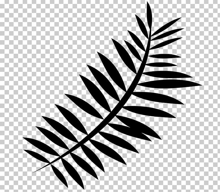 Fern De Beekvallei Ophoven Silhouette PNG, Clipart, Animals, Bed And Breakfast, Black And White, Branch, Child Free PNG Download