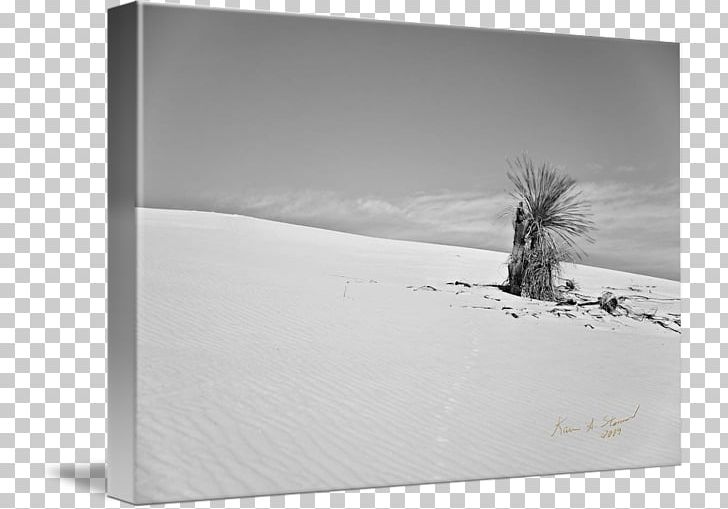 White Frames Rectangle PNG, Clipart, Art, Black And White, Landscape, Monochrome, Monochrome Photography Free PNG Download