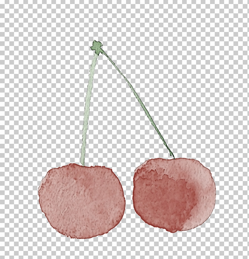 Pink Cherry Plant Drupe Prunus PNG, Clipart, Cherry, Drupe, Metal, Pink, Plant Free PNG Download