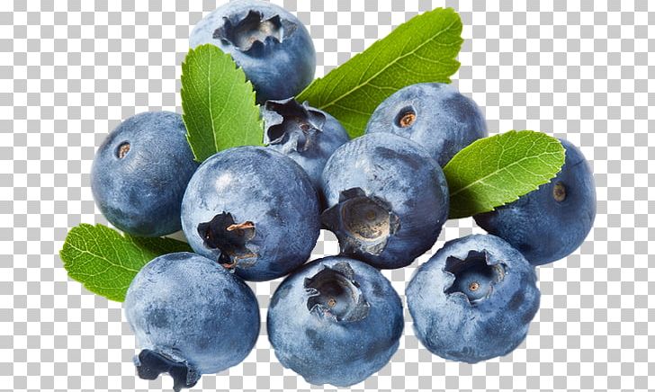 Blueberry Cannabidiol Herbalism Bilberry PNG, Clipart, Aristotelia Chilensis, Berry, Bilberry, Blueberry, Blueberry Tea Free PNG Download