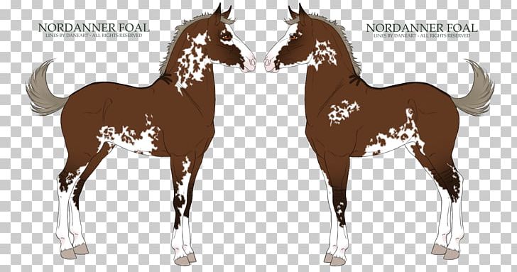 Foal Mare Mustang Stallion Pony PNG, Clipart, Autumn, Buckskin, Colt, Foal, Gift Free PNG Download