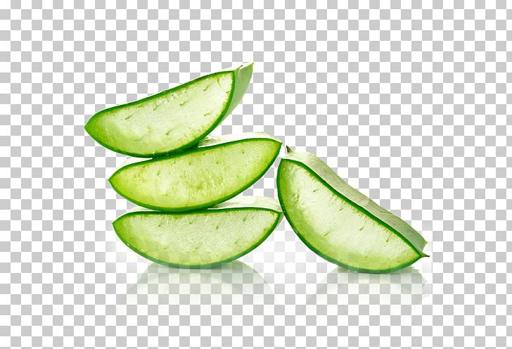 Aloe Vera Gel Health Skin Healing PNG, Clipart, Aloe, Aloe Vera, Cucumber Gourd And Melon Family, Cucumis, Cure Free PNG Download