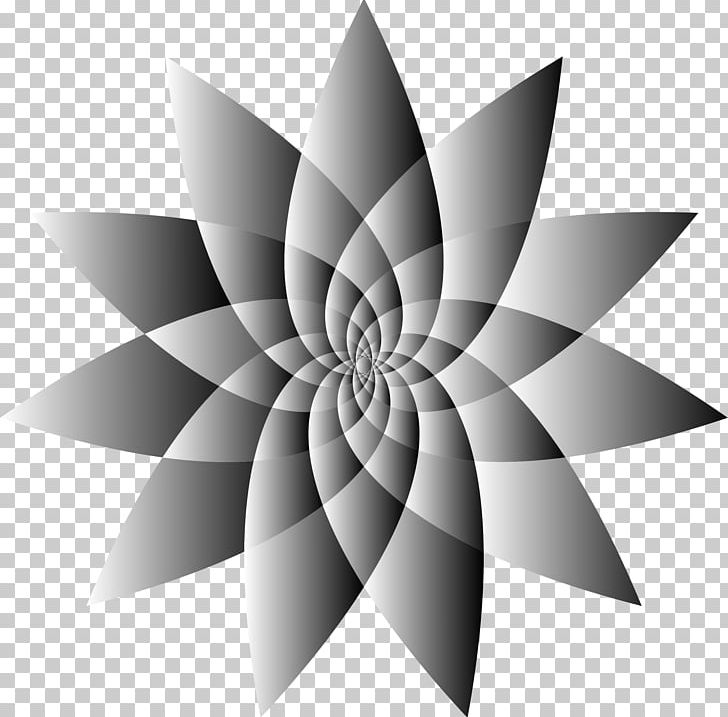 Black And White Line Art Drawing Flower PNG, Clipart, Art, Black And White, Circle, Computer Wallpaper, Drawing Free PNG Download