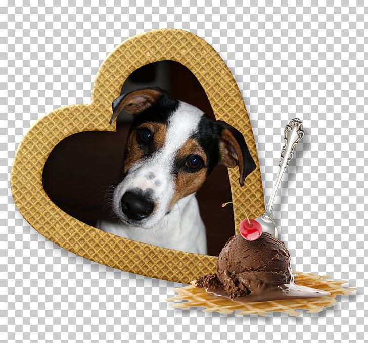 Dog Breed Treeing Walker Coonhound Black And Tan Coonhound Puppy Companion Dog PNG, Clipart, Animals, Black And Tan Coonhound, Breed, Companion Dog, Coonhound Free PNG Download