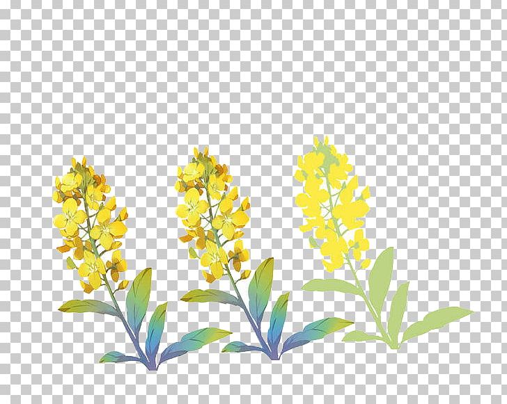 Jasminum Nudiflorum Flowering Tea PNG, Clipart, Branch, Bud, Cut Flowers, Download, Flora Free PNG Download