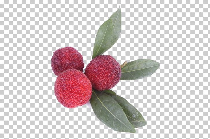 Berry Morella Rubra Food Auglis Fruit PNG, Clipart, Apple Fruit, Auglis, Berry, Durio Zibethinus, Eating Free PNG Download