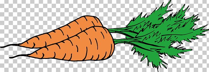 Carrot Orange Illustration PNG, Clipart, Adobe Illustrator, Beak, Carrot, Carrot Vector, Daucus Carota Free PNG Download