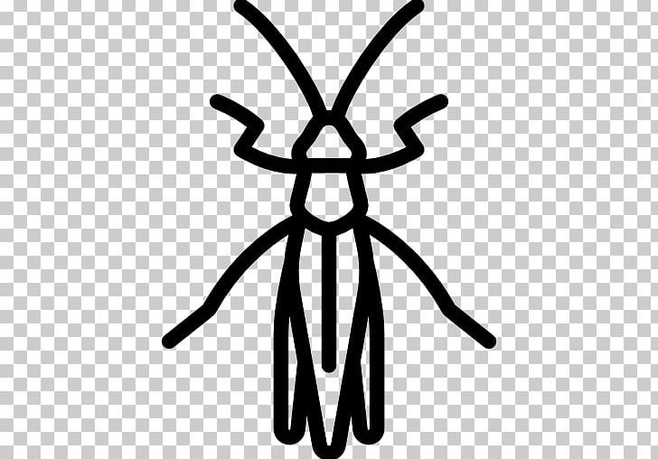 Computer Icons Grasshopper PNG, Clipart, Artwork, Black And White, Computer Font, Computer Icons, Download Free PNG Download