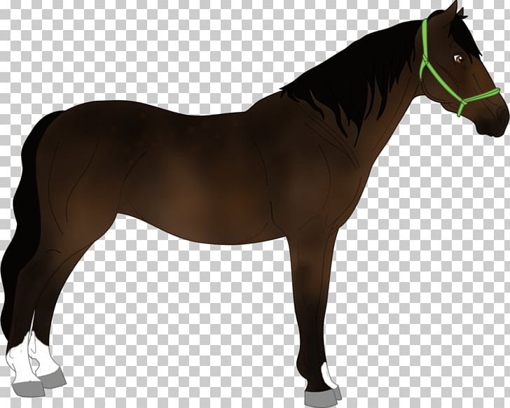 Mustang Pony Stallion Horse Harnesses Bridle PNG, Clipart, Bridle, Equestrian, Equestrian Sport, Halter, Horse Free PNG Download
