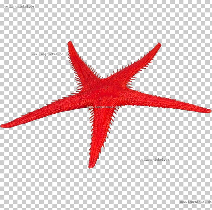 Starfish Fake Food Croissant Cherry PNG, Clipart, Animals, Cherry, Computer Network, Croissant, Echinoderm Free PNG Download