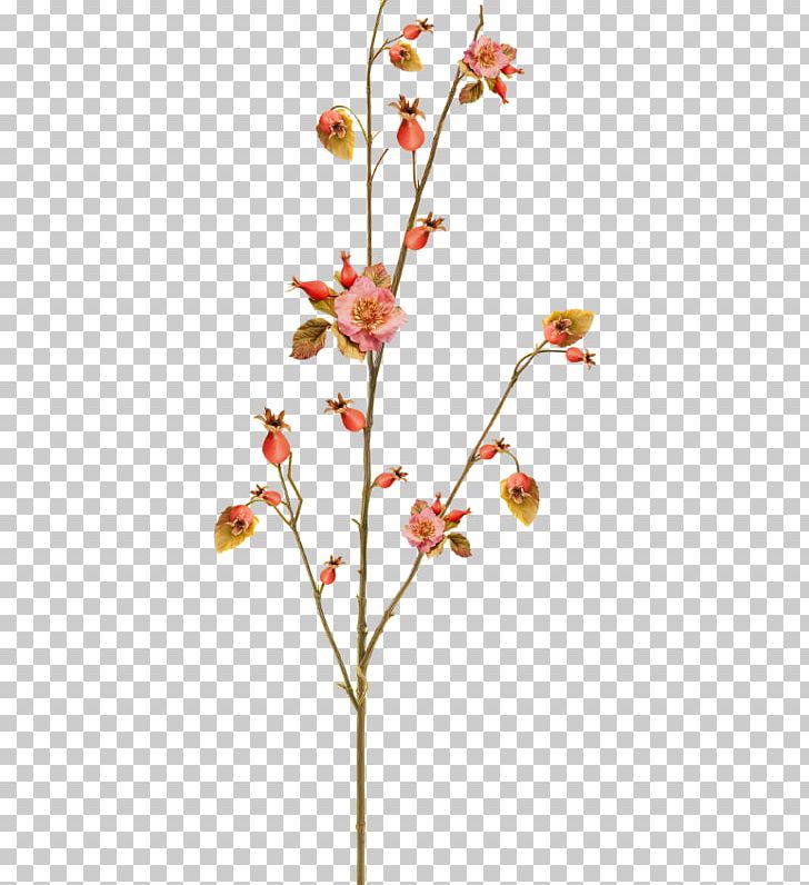 Twig Leaf Bud Cut Flowers Plant Stem PNG, Clipart, Advertising, Agac Resimleri, Blossom, Branch, Bud Free PNG Download